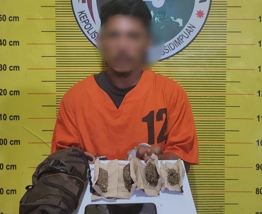 Nyambi Edarkan Ganja, Sopir di Padangsidimpuan Diciduk Polisi
