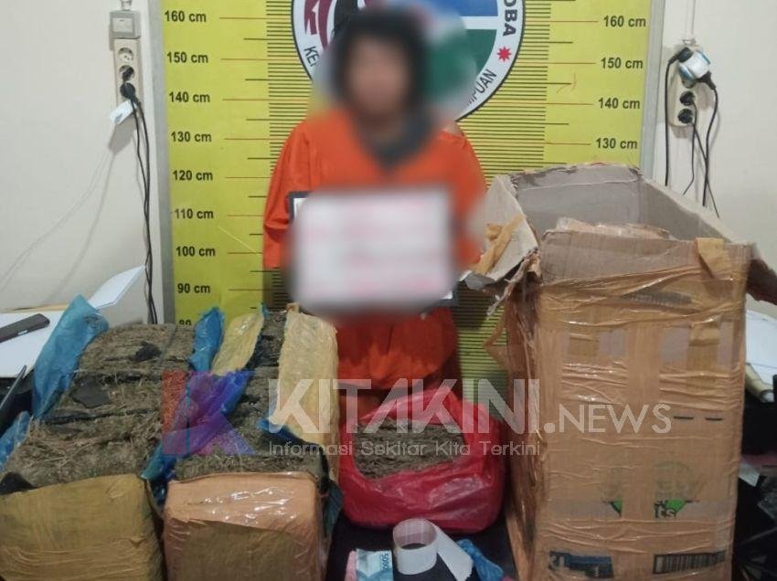 Pria Ini Kirim 22,5 Kg Ganja ke Jakarta via Bus di Padangsidimpuan