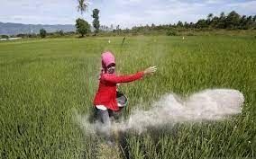 Kondisi Pupuk Langka Jadi Persoalan Klasik di Tanah Air