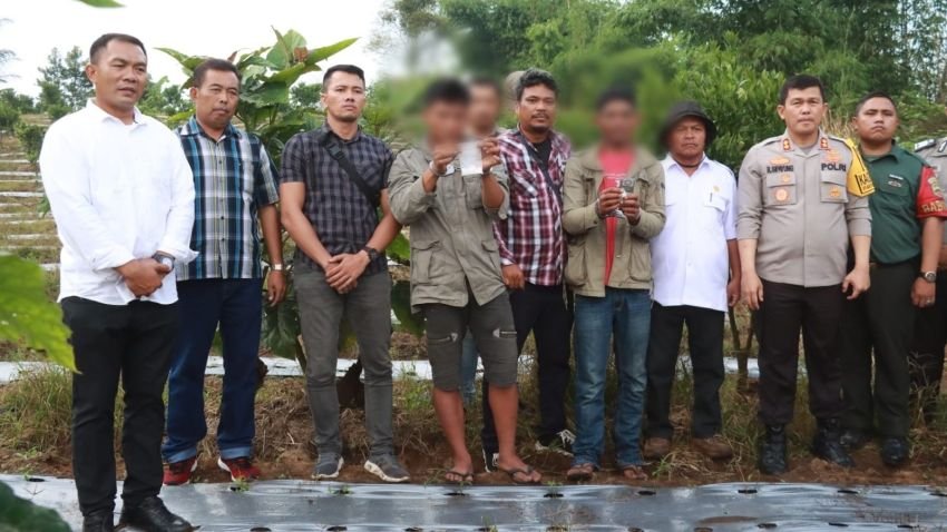 Kapolres Simalungun Gerebek Petani Jeruk Nyambi Jual Sabu