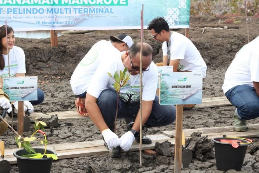 SPMT Tanam 8000 Mangrove di Desa Sungai Undang Kalimantan Tengah