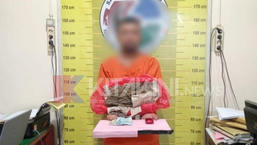 Petugas Amankan Pria Simpan Ganja 240 Gram Dalam Baju