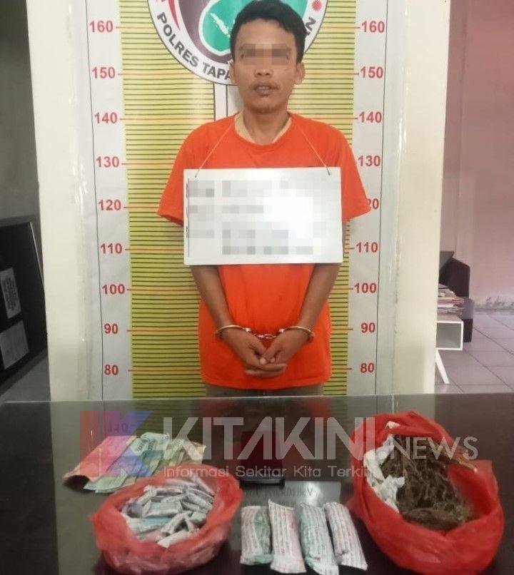 Polres Tapsel Angkut Pengecer Ganja di Tepi Sawah