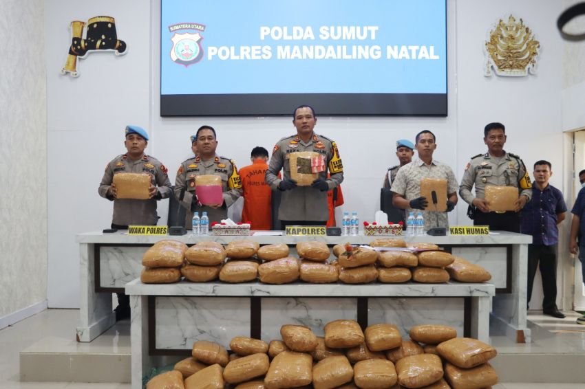 Polres Madina Ungkap Kasus 116 Kg Ganja dengan Dua Tersangka