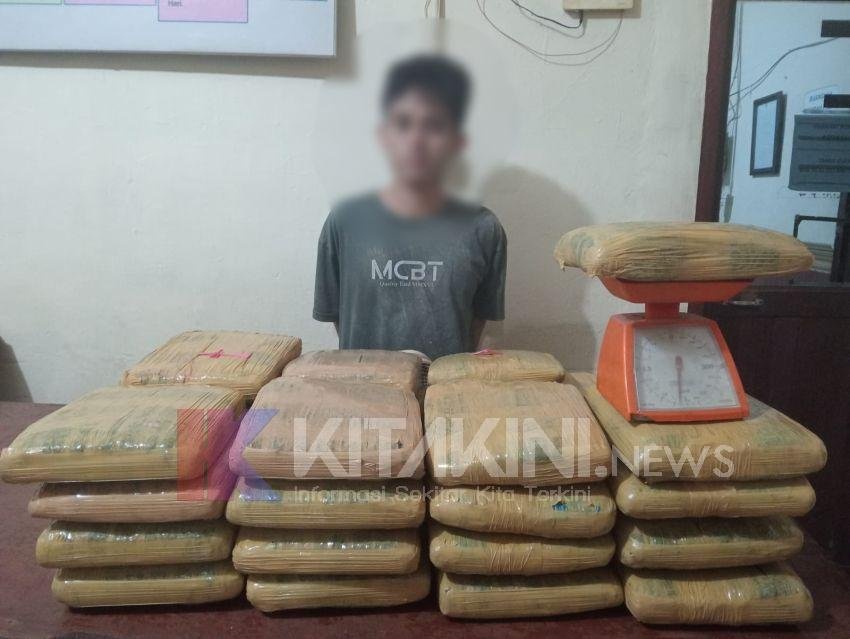 Polres Padangsidimpuan Tangkap Pria Asal Madina Pemilik 35 Kg Ganja