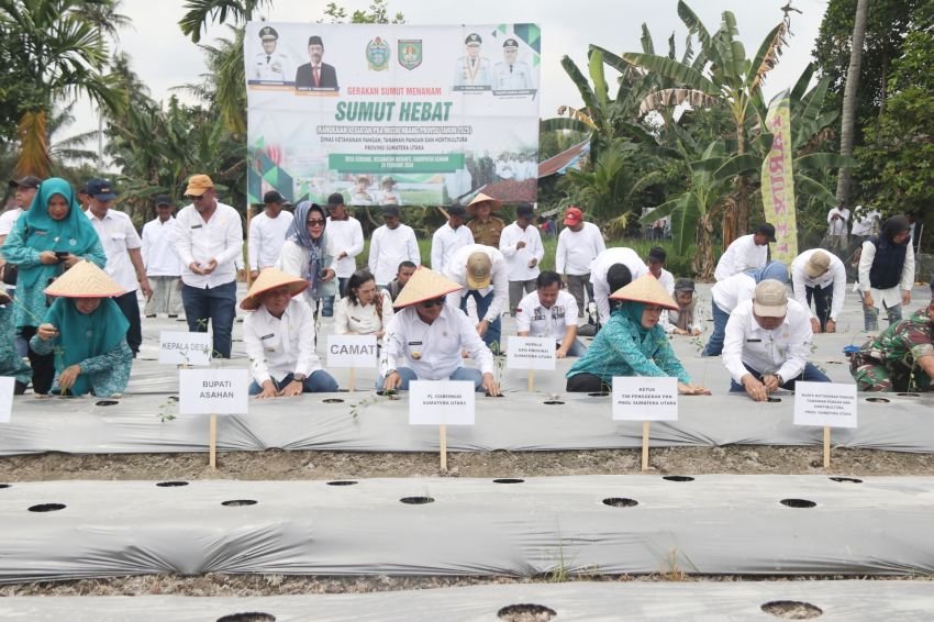 Pj Gubsu Harap Produksi dan Ketersedian Cabai Merata Sepanjang Tahun