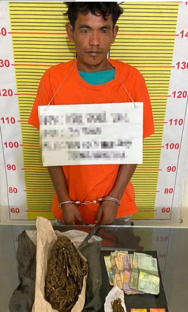 Satres Narkoba Polres Tapsel Gagalkan Peredaran Narkoba