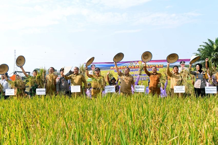 Hassanudin Pastikan Stok Beras Sumut Aman
