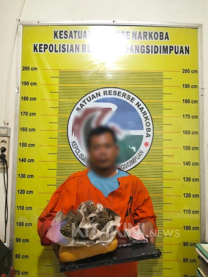 Polres Padangsidimpuan Amankan 1 Bal Ganja Dari Rumah RO