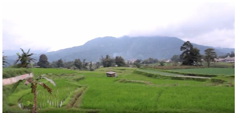 Abu Vulkanik Gunung Marapi Bawa Berkah Bagi Masyarakat Petani
