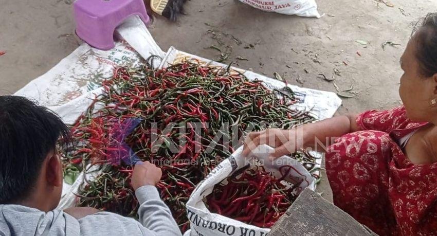 Ini Alasan Kenapa Harga Cabai Melonjak Jelang Ramadhan
