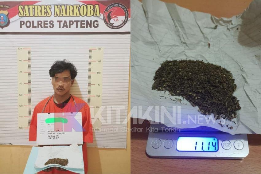Nyambi Edarkan Ganja, Kuli Bangunan Ditangkap Polisi