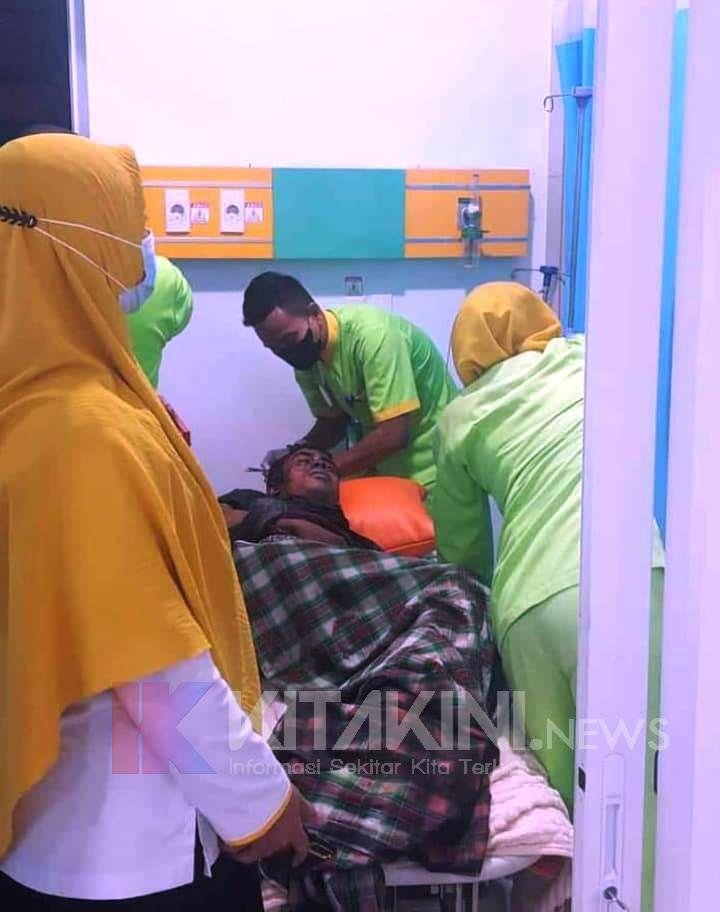 Lagi Panen Cabai, Warga Langkat Diterkam Harimau