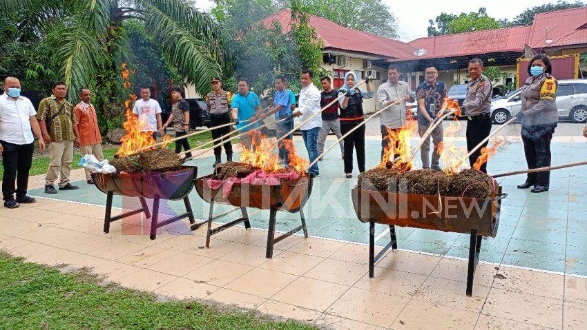 Polres Langkat Musnahkan Puluhan Kilogram Ganja dan Sabu