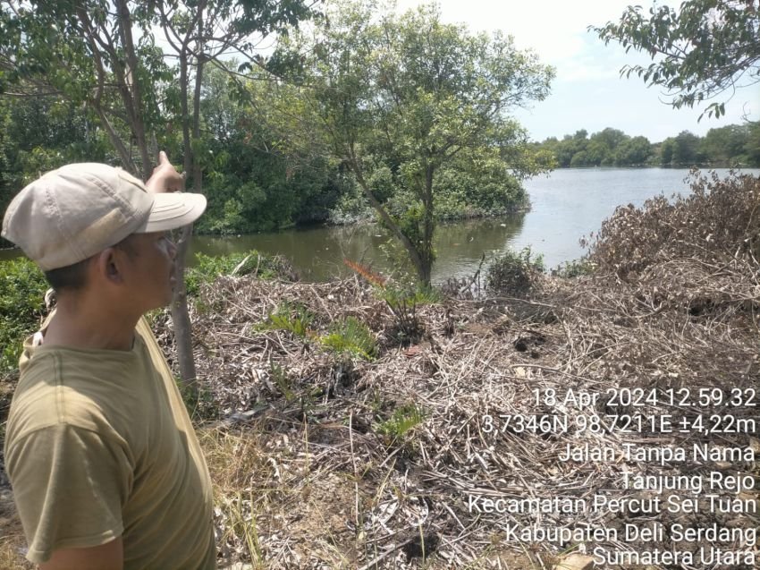 BBKSDA Sumut Klaim Sudah 3 Kali Lakukan Pengecekan Buaya Muara yang Viral di Medan Labuhan