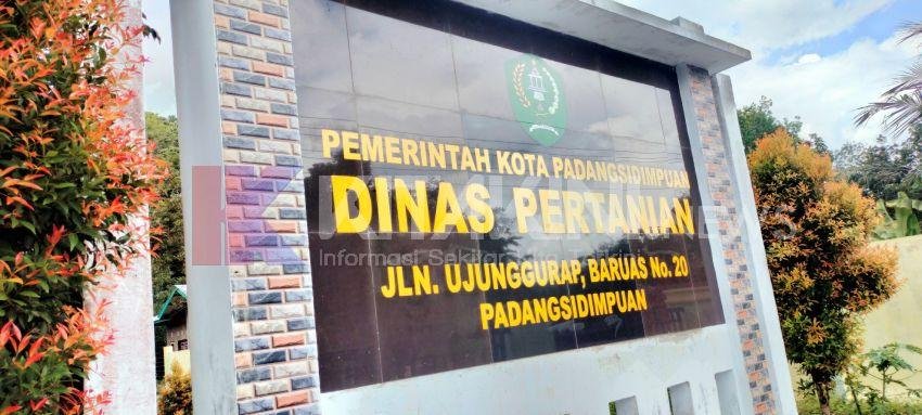 Pengamat Pertanyakan Anggaran Alat Pemotong Hewan Puluhan Juta Rupiah di Padangsidimpuan