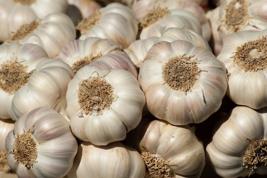 Kenaikan Harga Bawang Putih Tidak Wajar, Kanwil I KPPU Bakal Panggil Importir