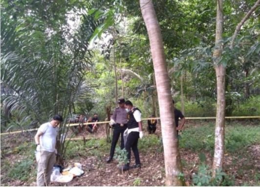 Petani di Tapsel Pilih Akhiri Hidup di Ranting Pohon Jengkol