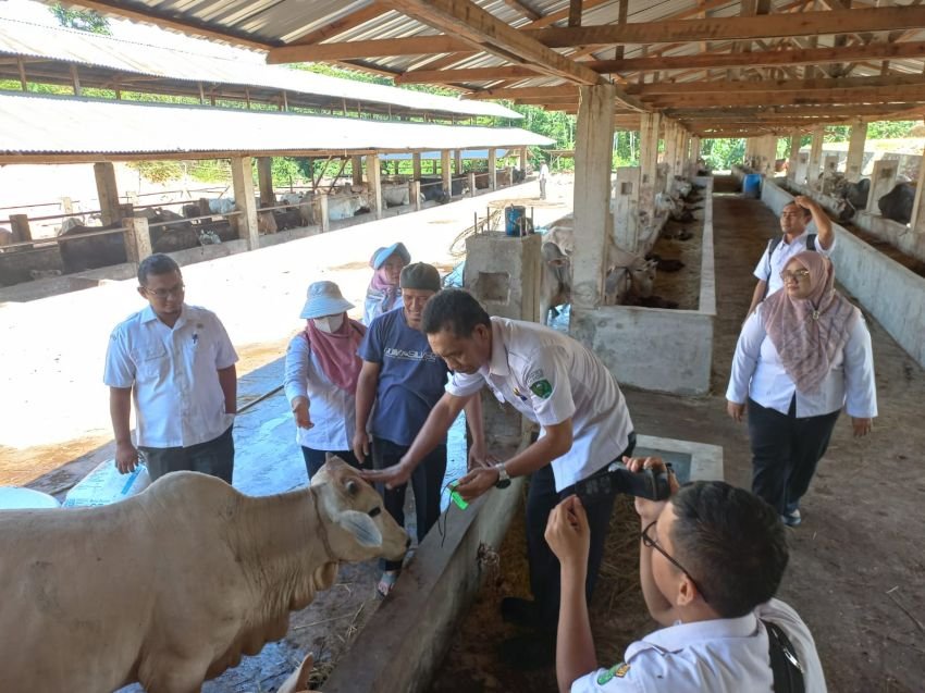 Idul Adha Tahun Ini, Pemko Sidimpuan dan Jajaran Tak Sembelih Hewan Kurban