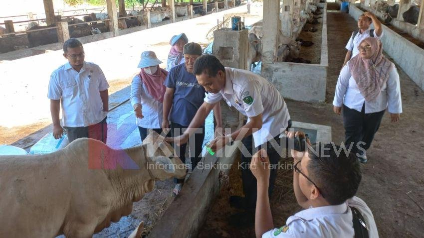 Dinas Pertanian Padangsidimpuan Lakukan Pemeriksaan Hewan Kurban Idul Adha 1445 H