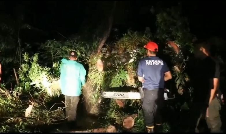 Pohon Tumbang di Beberapa Titik Kota Padang Hingga Menimpa Rumah