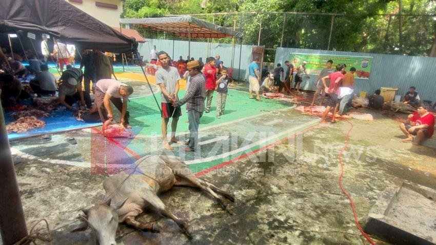 Idul Adha 1445 H, Polres Padangsidimpuan Sembelih Sembilan Hewan Kurban