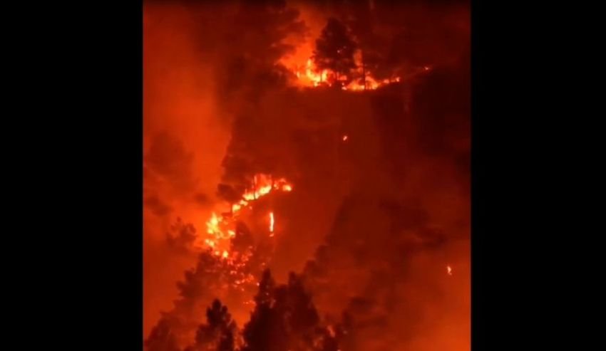 Kebakaran Hutan di Samosir Menurut BPPI Wilayah Sumatera, Capai 300 Hektar