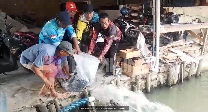 Sejumlah Klub Pemancing Lepas 300 Kg Ikan ke Kolam Pancing Suroto Jermal 15