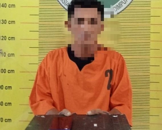 Tertangkap di Tepi Jalan, Warga Sitamiang Ketahuan Simpan Sabu di Rumah