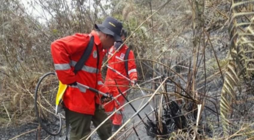 Kawasan Hutan dan Lahan di Karo Rentan Terbakar Kembali