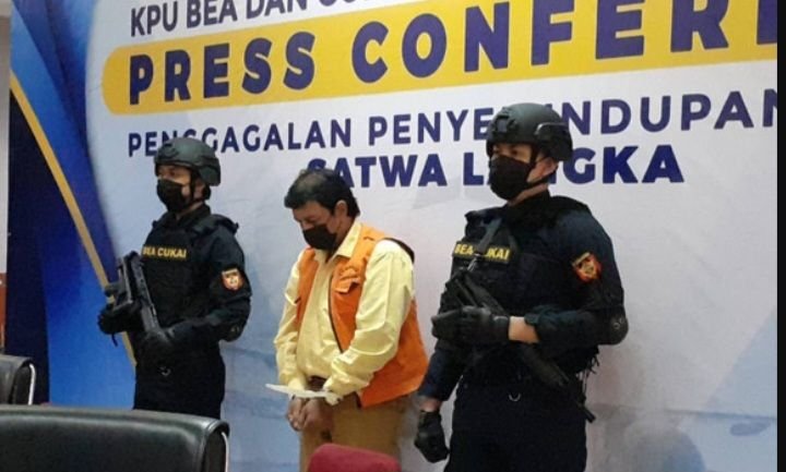 Nekat! Artis Bollywood Bawa Dua Cenderawasih Dalam koper
