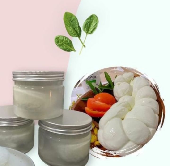 Morrah Buffalo Cheese: Keju Organik Pertama dari Susu Kerbau Khas Indonesia