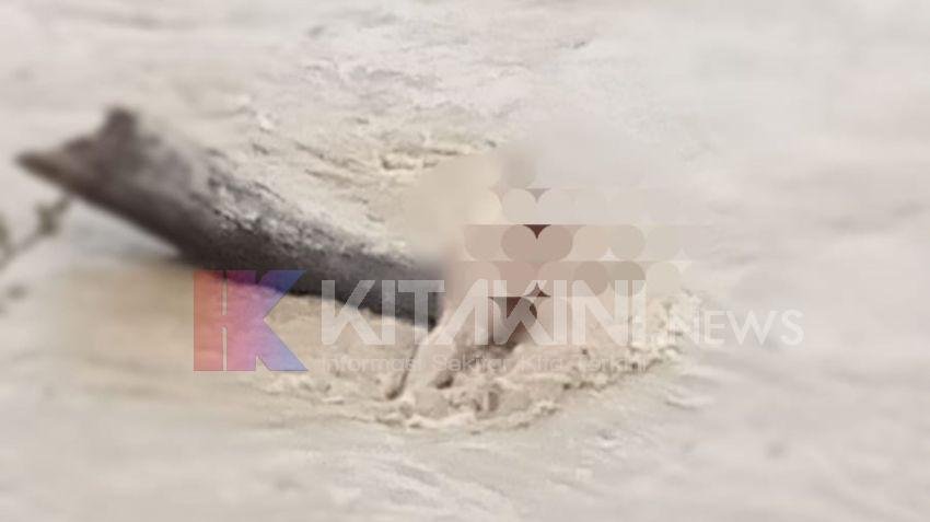 Mayat Wanita di Sungai Wampu Hebohkan Warga