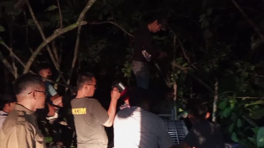 Beruang Teror Warga Solok Selatan, BKSDA Sumbar Pasang Perangkap