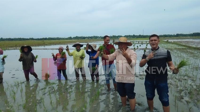 Calon Bupati Langkat Nomor Urut 2 Iskandar Sugito Turun ke Sawah