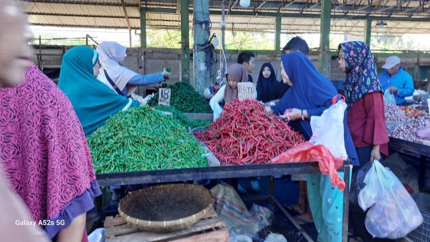 Harga Cabai Merah Turun, Petani Sumut Terancam Rugi