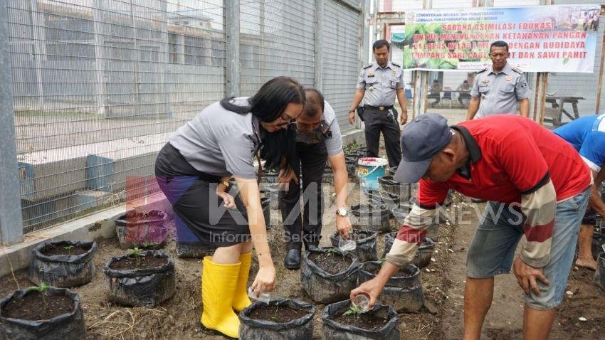 Lapas Kelas I Medan Beri Pupuk Cair Tanaman Cabai Rawit