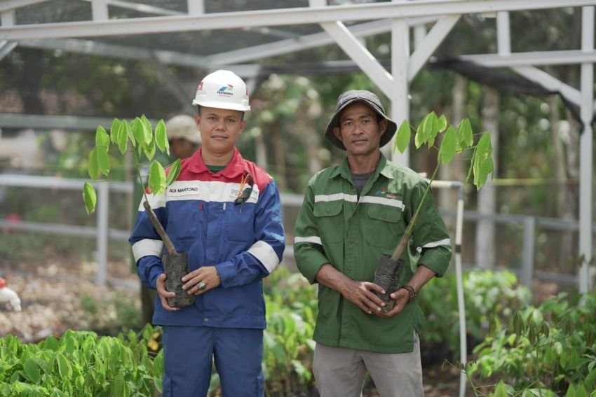 PGN Luncurkan Program &ldquo;SISTER DEWA&rdquo; untuk Dukung Peremajaan Kebun Karet