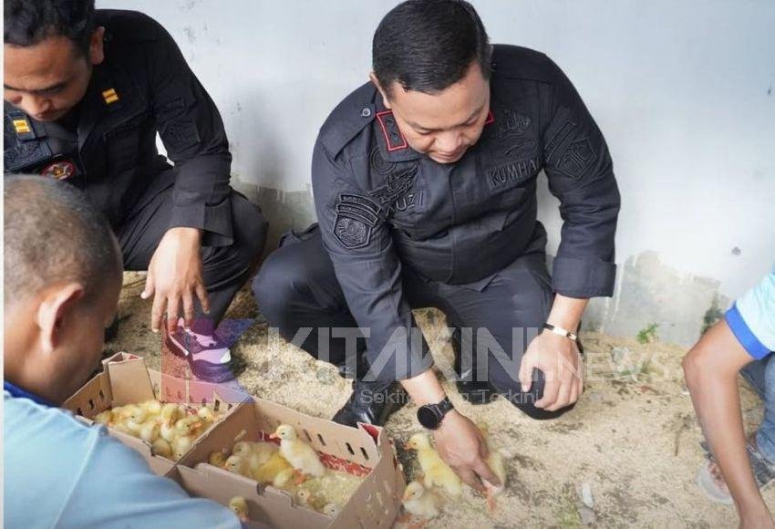 Lapas Narkotika Langkat Budidaya Bebek Dukung Ketahanan Pangan Nasional