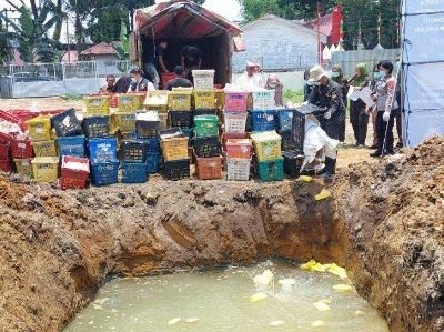 Polda Sumut Sita Truk Bermuatan 4 Ton Mangga Impor Ilegal dari Thailand
