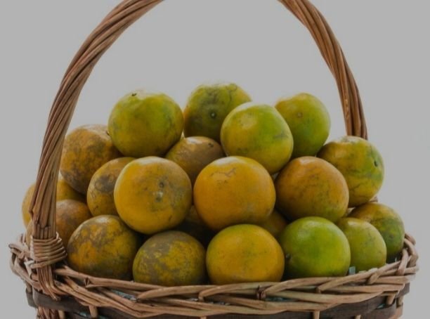 Jeruk, Buah Terbaik Melawan Stres