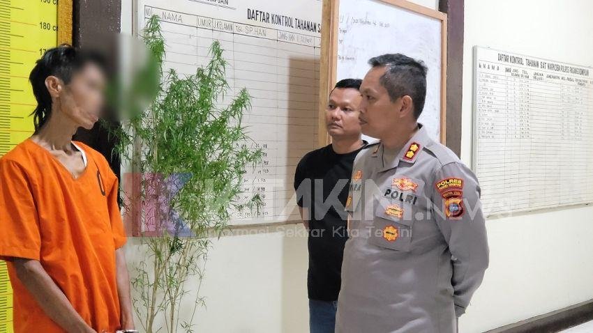 Modus Pria Tanam Ganja di Pekarangan Rumah, untuk Dijual Eceran