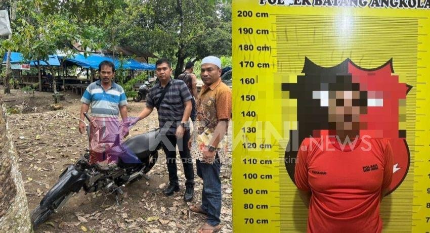 Sikat Dua Ekor Babi, Seorang Pria di Tapsel Diringkus Polisi