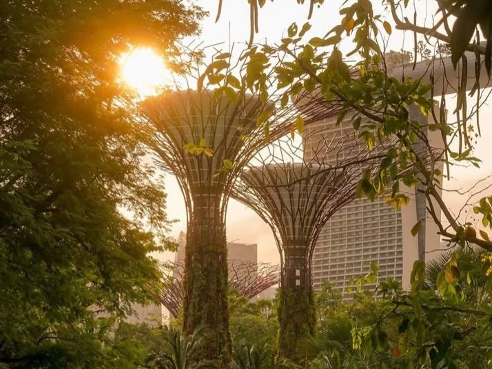 Bulan Depan Ada Jurassic World di Singapura