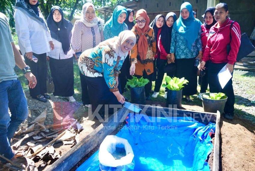 Ketua TP PKK Langkat Ajak Warga Serapit Manfaatkan Pekarangan, Serahkan 5.000 Ekor Ikan