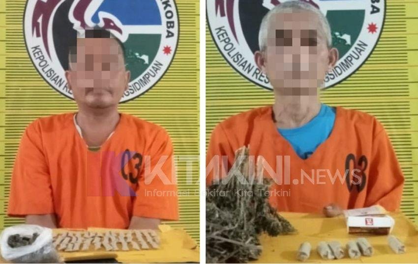 Kurun Waktu Satu Jam, Polres Padangsidimpuan Sikat Pemilik dan Pengecer Ganja