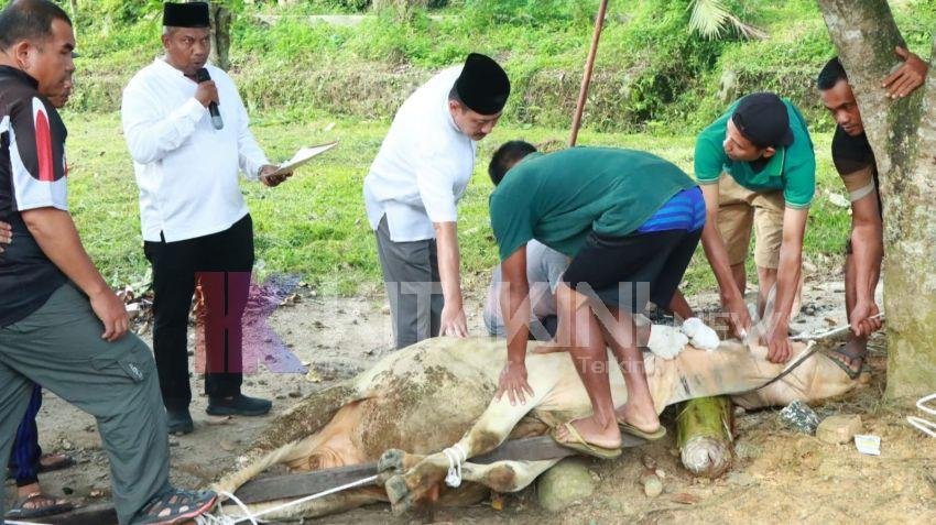 Idul Adha, Polres Binjai Sembelih 7 Ekor Sapi dan 9 Ekor Kambing
