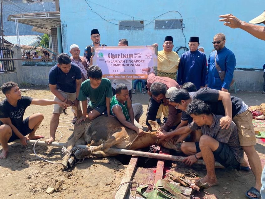 DMDI Indonesia dan Jamiyah Singapore Sebar 600 Ekor Hewan Qurban di Tanah Air