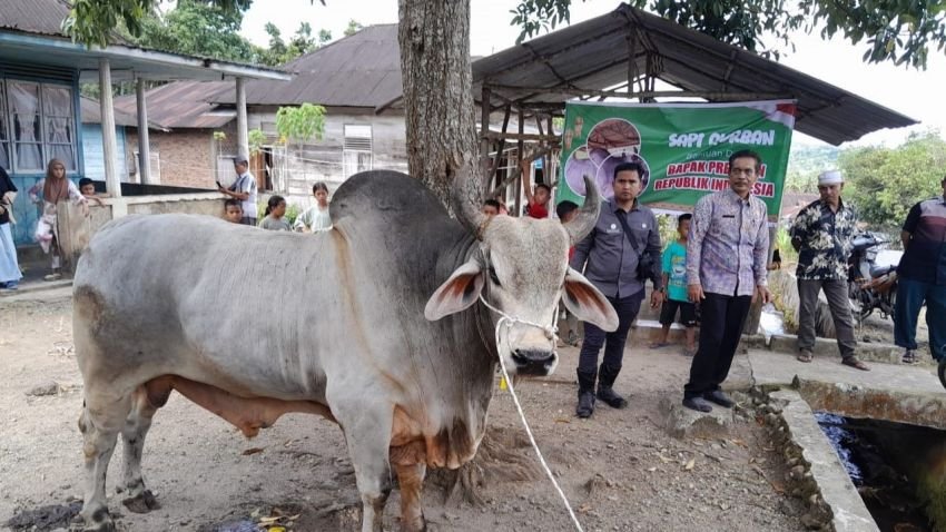 Warga Joring Lombang Sidimpuan Terima Hewan Kurban dari Presiden Prabowo