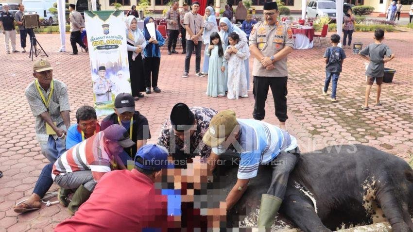 Kapolres Langkat Serahkan 12 Ekor Sapi dan 5 Kambing Kurban di Idul Adha 1446 H